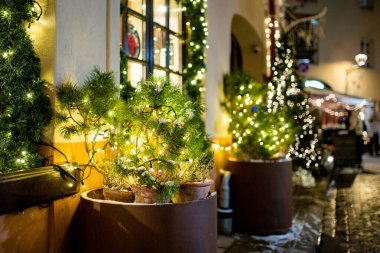 Parlayan ışıklar ve beyaz süslemelerle karla kaplanmış Noel ağaçları bir şehir meydanını gece süslüyor. Vilnius 'ta şenlikli kış atmosferi, soğuk havada sıcak tatil büyüsü..