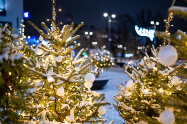 Parlayan ışıklar ve beyaz süslemelerle karla kaplanmış Noel ağaçları bir şehir meydanını gece süslüyor. Vilnius 'ta şenlikli kış atmosferi, soğuk havada sıcak tatil büyüsü..