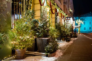 Parlayan ışıklar ve beyaz süslemelerle karla kaplanmış Noel ağaçları bir şehir meydanını gece süslüyor. Vilnius 'ta şenlikli kış atmosferi, soğuk havada sıcak tatil büyüsü..
