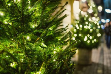 Parlayan ışıklar ve beyaz süslemelerle karla kaplanmış Noel ağaçları bir şehir meydanını gece süslüyor. Vilnius 'ta şenlikli kış atmosferi, soğuk havada sıcak tatil büyüsü..