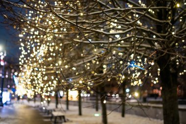 Çıplak ağaç dalları Vilnius 'un bulanık şehir manzarasına karşı sıcak beyaz ip ışıklarına sarılmış. Sessiz sokakların tatil ışıklarıyla parıldadığı şenlikli bir kış gecesi..