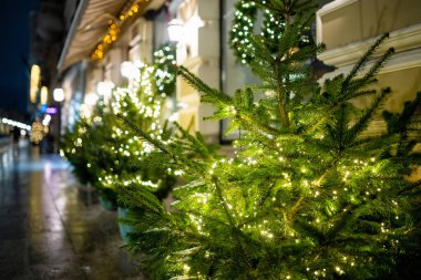 Parlayan ışıklar ve beyaz süslemelerle karla kaplanmış Noel ağaçları bir şehir meydanını gece süslüyor. Vilnius 'ta şenlikli kış atmosferi, soğuk havada sıcak tatil büyüsü..