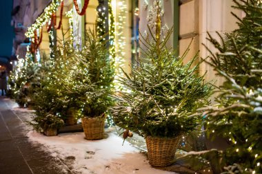 Parlayan ışıklar ve beyaz süslemelerle karla kaplanmış Noel ağaçları bir şehir meydanını gece süslüyor. Vilnius 'ta şenlikli kış atmosferi, soğuk havada sıcak tatil büyüsü..