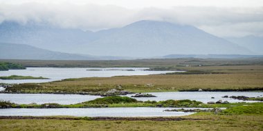 İrlanda 'nın Connemara bölgesindeki Glenicmurrin Lough gölünün güzel manzarası. Ufukta muhteşem dağları olan İrlanda manzarası Galway ilçesi, İrlanda.