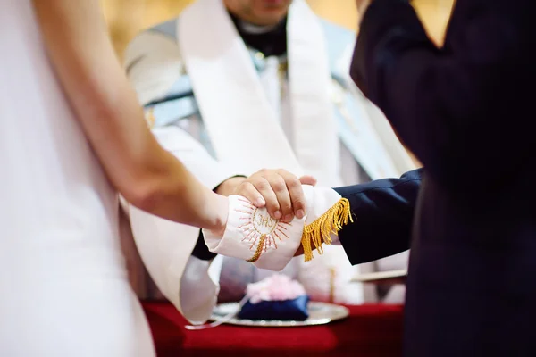 Bride and groom's hands wrapped — Stock Photo, Image