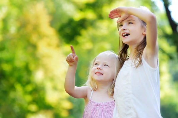 Sisters pointing at a plane — Stock Photo, Image