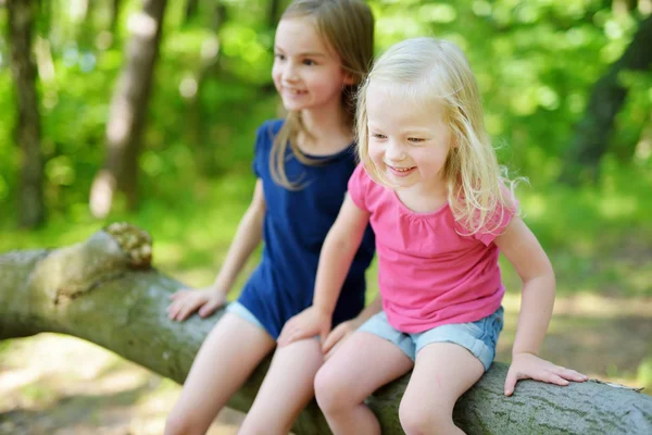 Kleine Schwestern wandern im Wald — Stockfoto