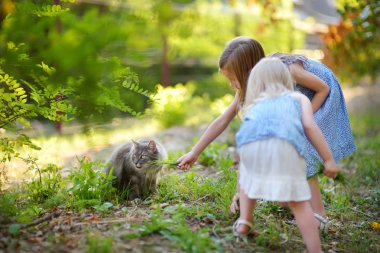 küçük kız ve kedi