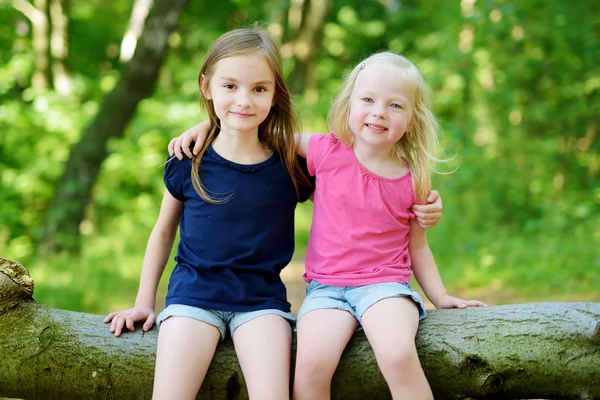 Kleine zusters wandelen in een bos — Stockfoto