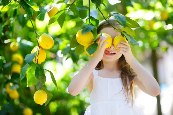 Girl picking fresh ripe lemons — Stock Photo, Image