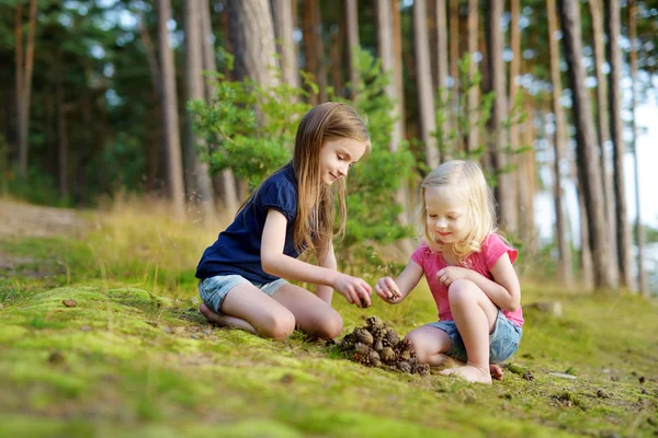 Little sisters hiking in a forest — Stock Photo, Image