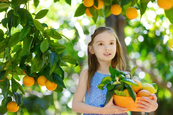Flicka plocka färska mogna apelsiner — Stockfoto