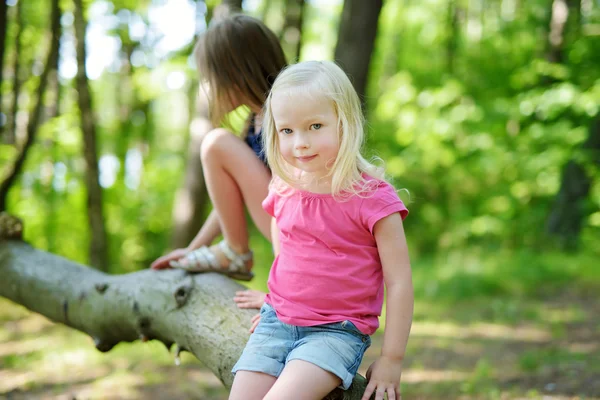 Kleine zusters wandelen in een bos — Stockfoto