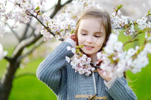 Liten flicka i blommande cherry garden — Stockfoto