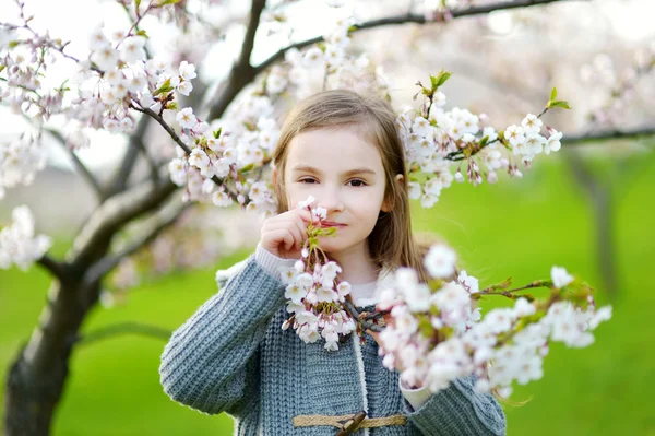 Niña en floreciente jardín de cerezos —  Fotos de Stock