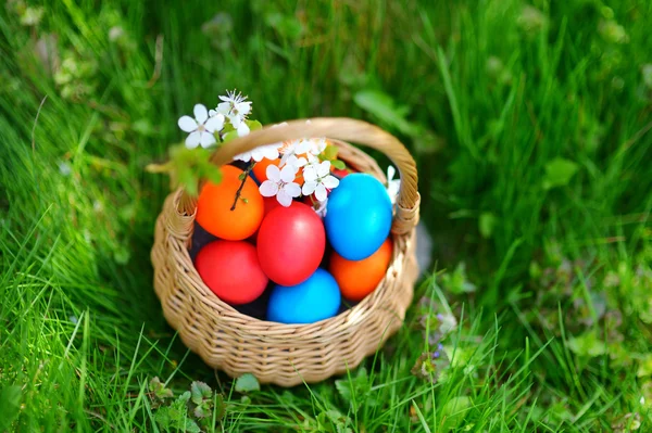 Oeufs de Pâques colorés dans un panier — Photo