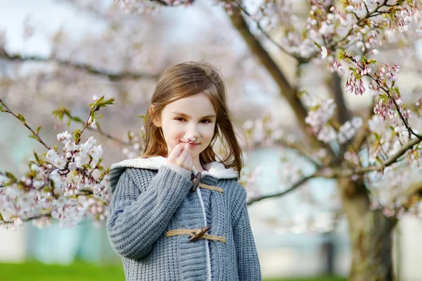 벚꽃 개화에 어린 소녀 정원 — 스톡 사진