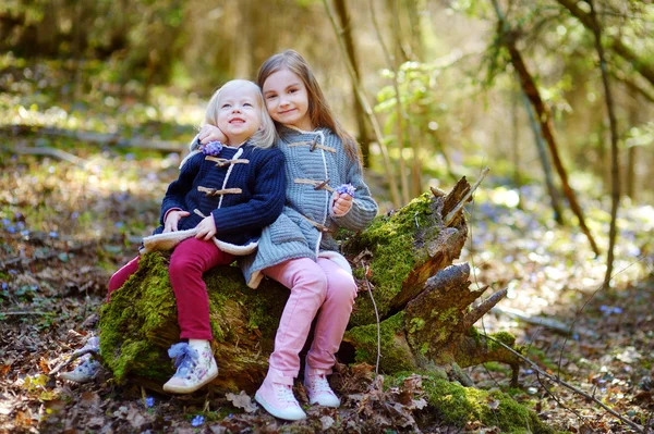 Hermanas recogiendo las flores — Foto de Stock