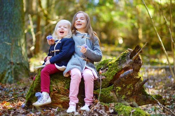 Hermanas recogiendo las flores — Foto de Stock