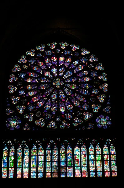 Notre dame Glasfenster — Stockfoto