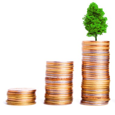 Ağaç sikkeler üzerinde