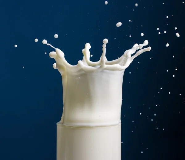 Splash a tejet a pohár — Stock Fotó
