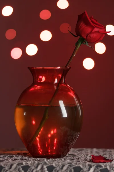 Rosa vermelha em um vaso de vidro vermelho — Fotografia de Stock