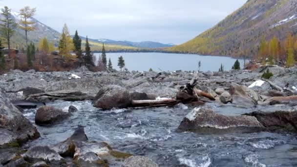 Flow between lakes Middle and Lower Multinskoe lakes in the Altai Mountains — Stock Footage Flow between lakes Middle and Lower Multinskoe lakes in the Altai Mountains Royalty Free Stock Footage