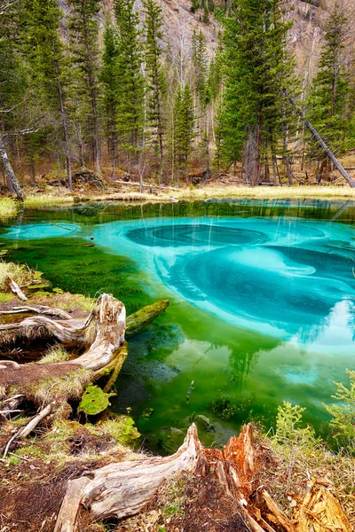 So-called blue geyser lake in Altay mountains — Stock Image So-called blue geyser lake in Altay mountains Royalty Free Stock Images