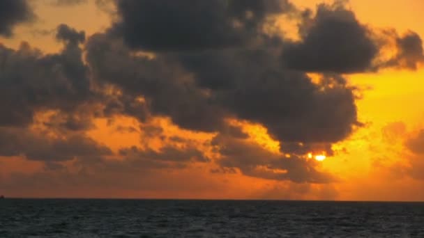 Beautiful  Landscape at sunset — Stock Video