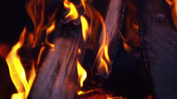 Fiamma di fuoco da vicino — Video Stock