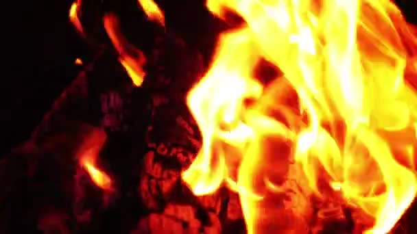 Пожежне полум'я крупним планом — стокове відео