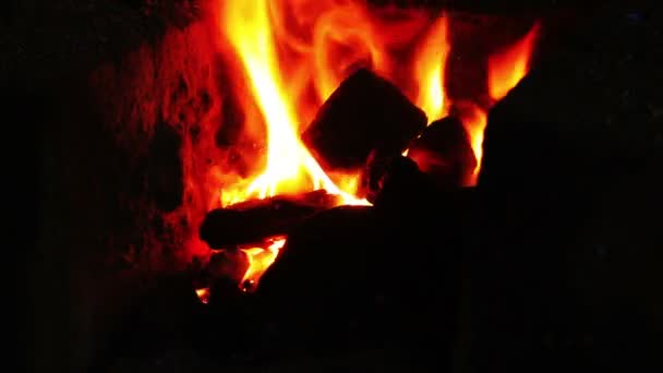 Culpar al fuego en el horno — Vídeo de stock