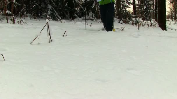 Turista em floresta nevada — Vídeo de Stock