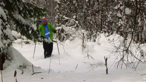 Toerist in het besneeuwde forest — Stockvideo