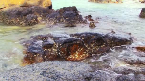 Havet vågor på stranden — Stockvideo