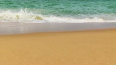 tropik sahil ve dalgalar