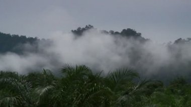Kayan sis manzara orman, Tayland
