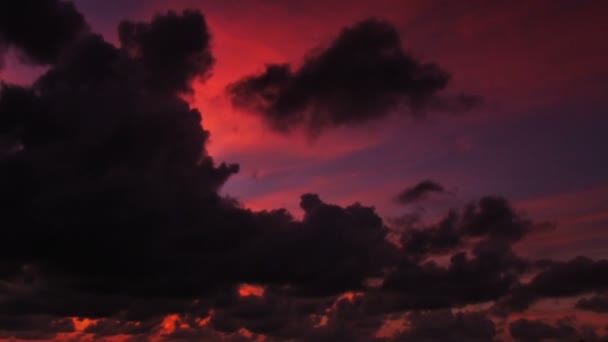 Γραφική τροπικό ηλιοβασίλεμα — Αρχείο Βίντεο