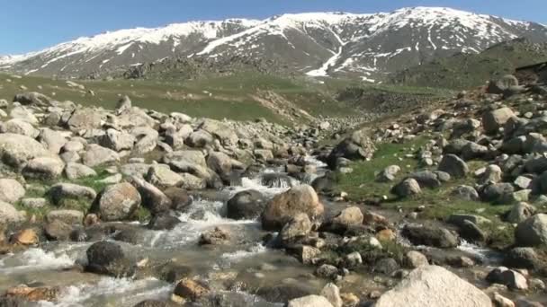 Fiume freddo di montagna con pietre — Video Stock