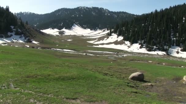 Paysage idyllique en montagne — Video