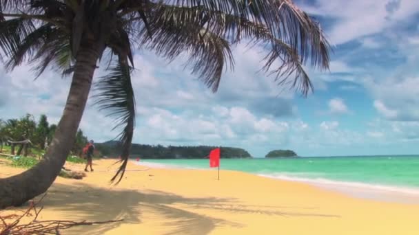 Tropical beach with red flags — Stock Video