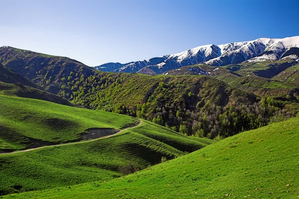 Paysage avec collines verdoyantes — Photo