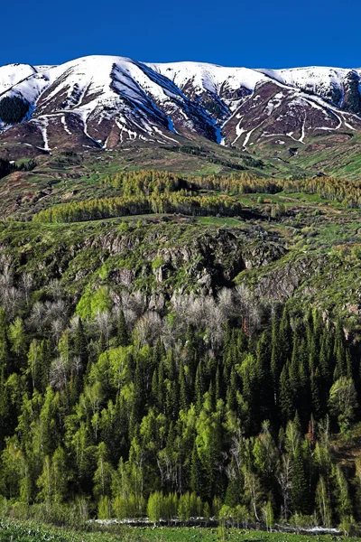 Manzara ile yeşil tepeler — Stok fotoğraf