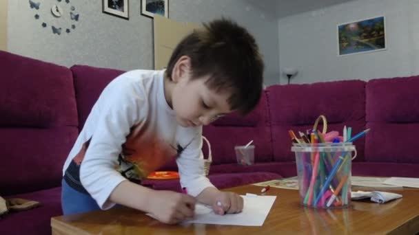 Boy draws a picture — Stock Video