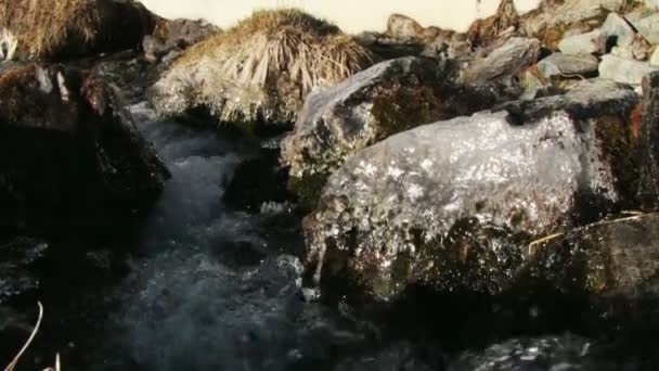 Estrecho río de montaña — Vídeos de Stock