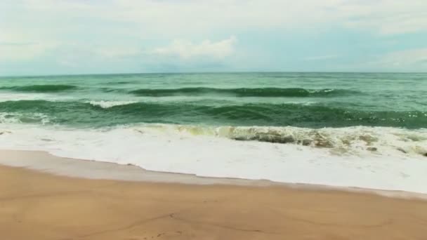surf sur la plage tropicale 
