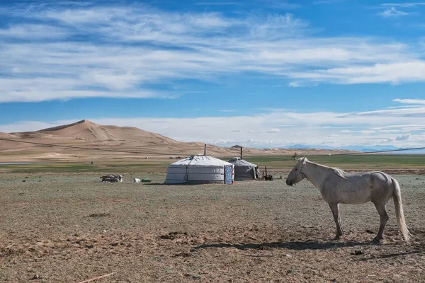 Mongolische Landschaft Mit Pferd — Stockfoto