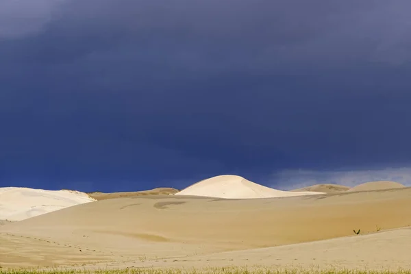 Barkhans Mongolii Piaszczyste Wydmy Pustynne Mongoły Pobliżu Jeziora Durgen Nuur — Zdjęcie stockowe