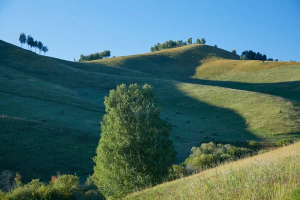 Bellissimo Paesaggio Estivo Con Verdi Colline Cielo Blu — Foto Stock